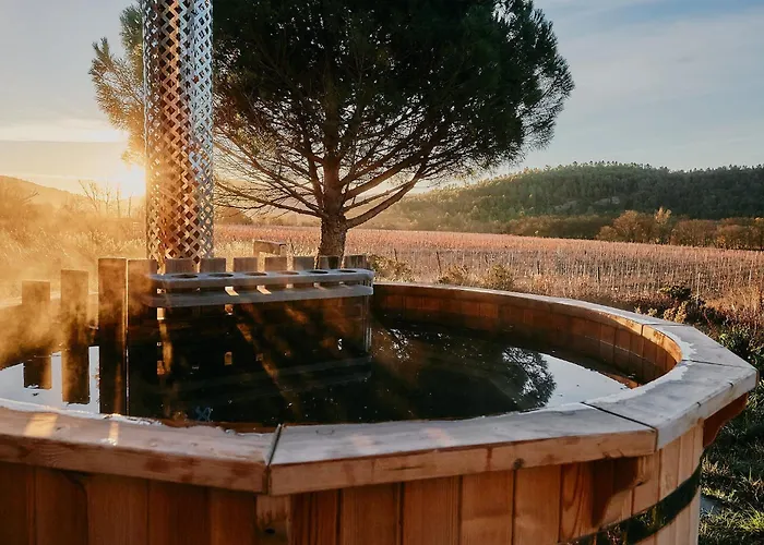 Domaine De Roquenegade - Piscine, Sauna Et Bain Nordique *